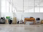 milieu