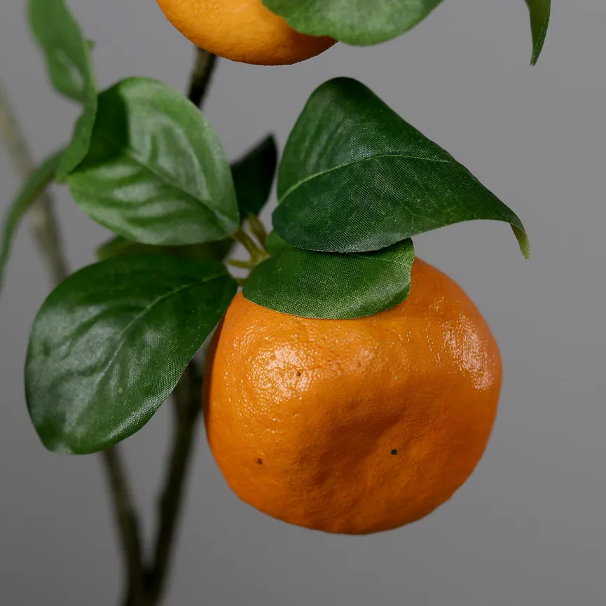 Orangenzweig detail