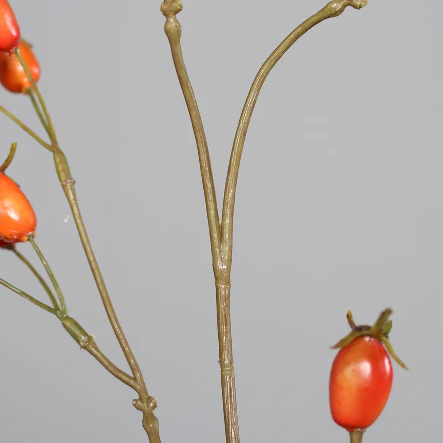 Hagebuttenzweig orange detail