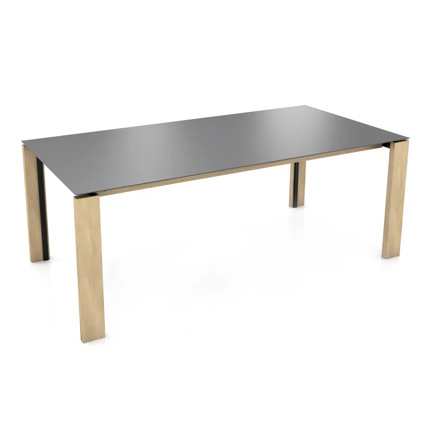 Esstisch T0500 PB1-EXT detail