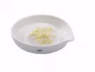 hauptaufnahme