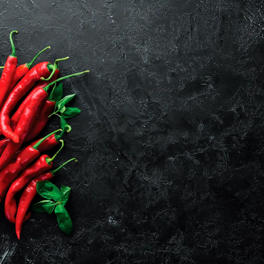 Red Chili Peppers VII hauptaufnahme