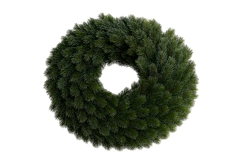 Edeltannenkranz hauptaufnahme