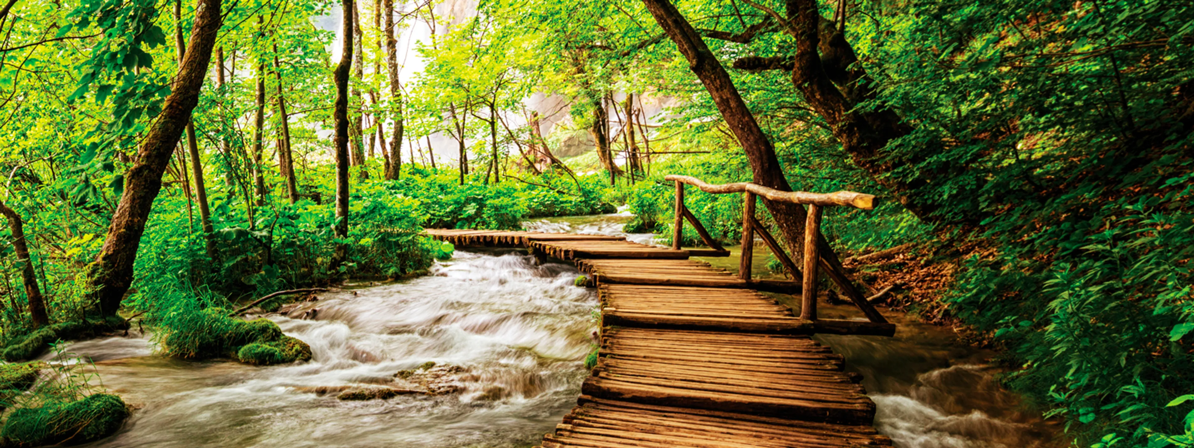 Wandbild 30 x 80 cm Footbridge in the forest
