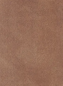 Bernstein material_farbe