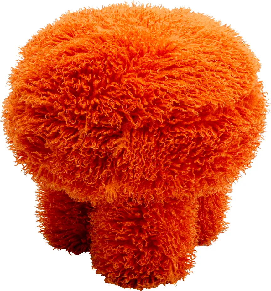 Hocker hauptaufnahme