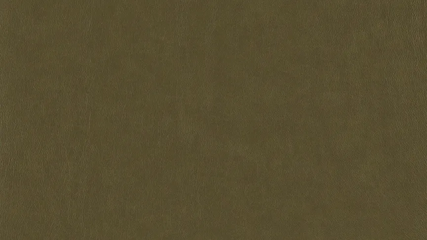 Sofa groß (N80) material_farbe