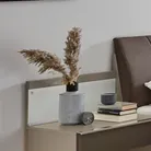 hauptaufnahme