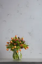 milieu