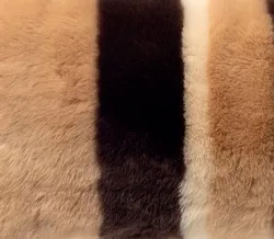 Chocolate  material_farbe