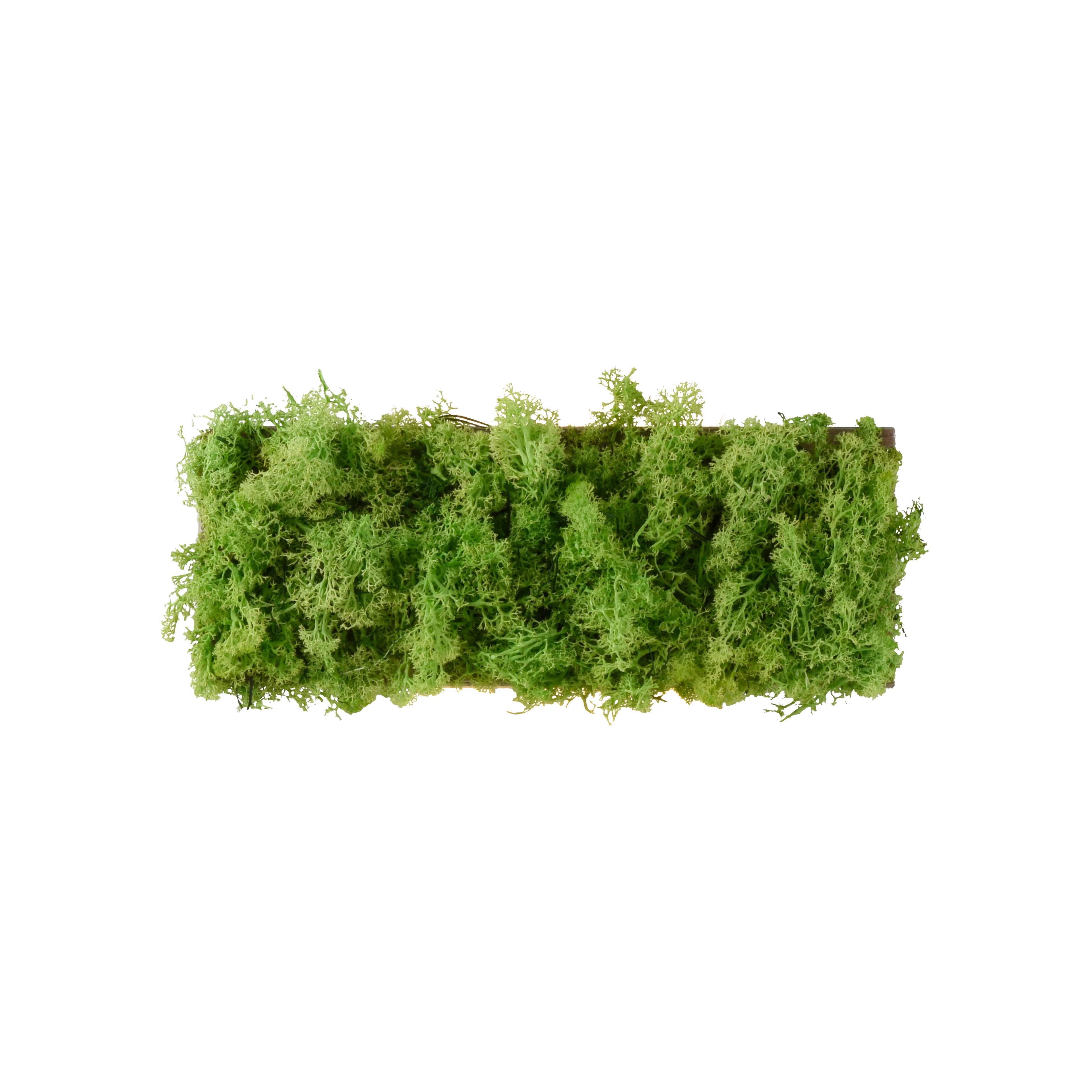 LED-Wandleuchte Green Carl