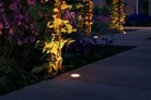 milieu