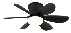 Schwarz material_farbe