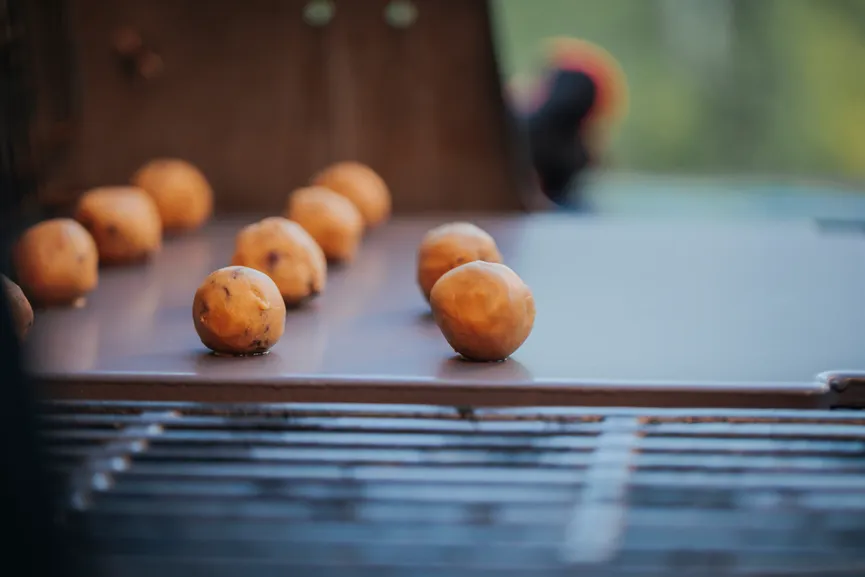 Crafted Grillstein glasiert detail