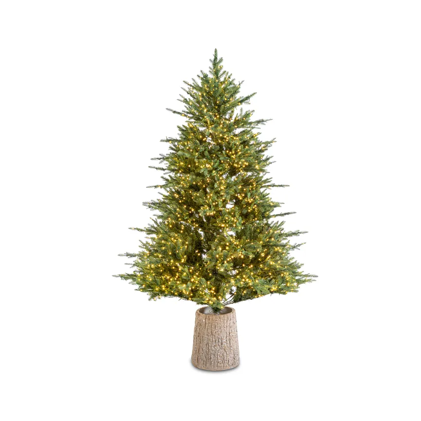 Tannenbaum grün L hauptaufnahme