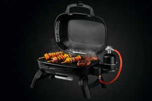 Gasgrill 
