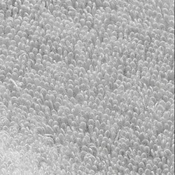 Grau material_farbe