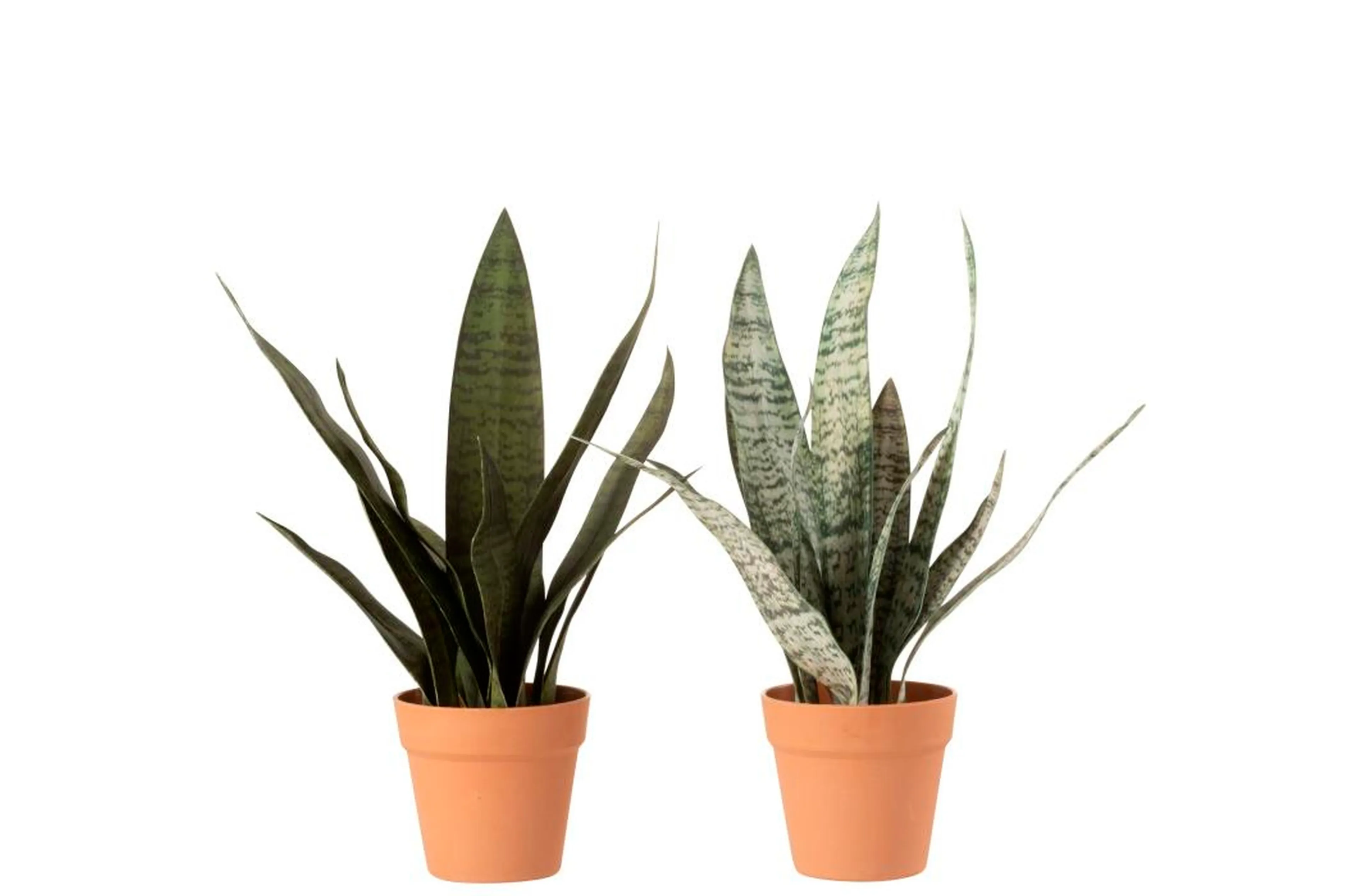 Kunstpflanze Sanseveria