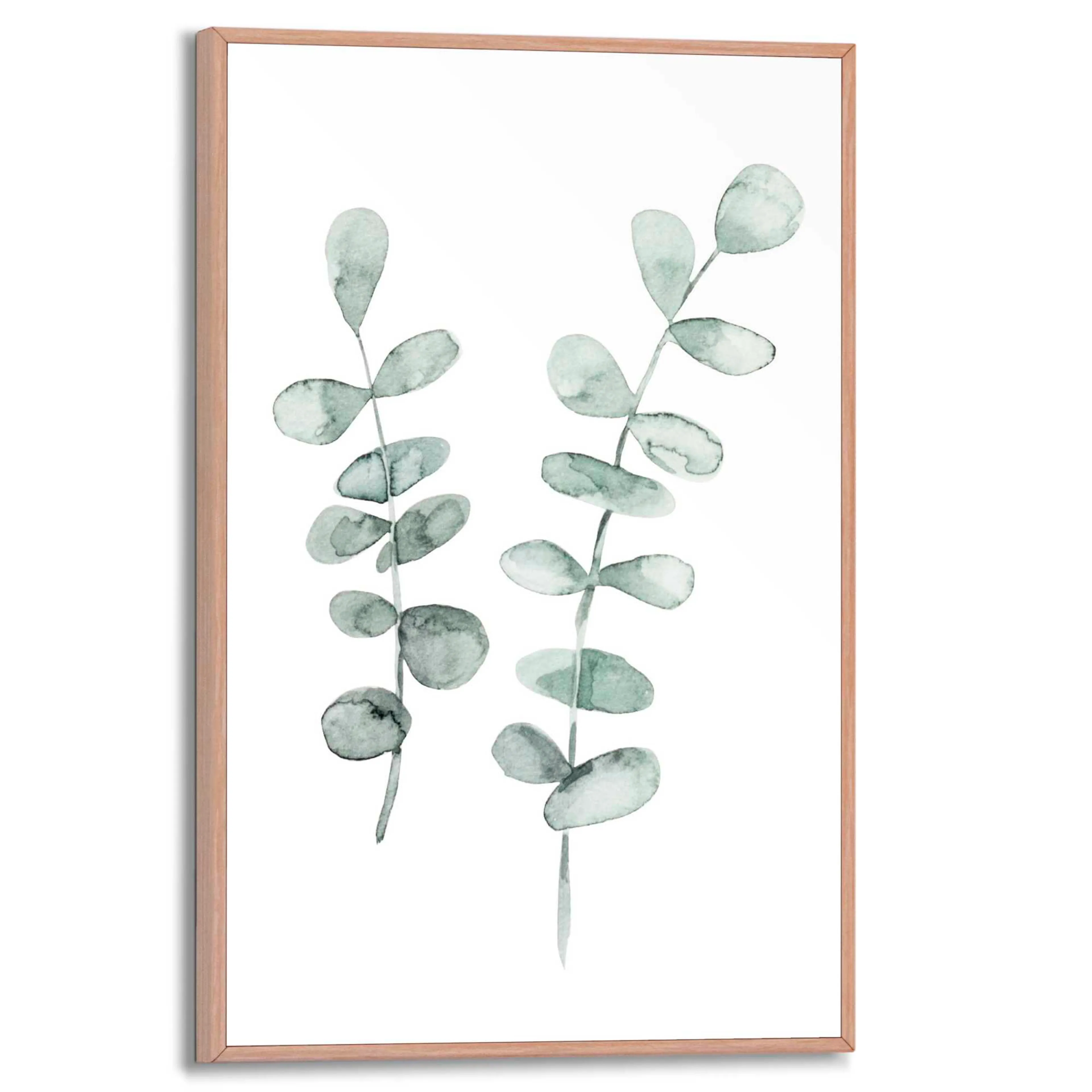 Wandbild 20 x 30 cm Eucalyptus Strings