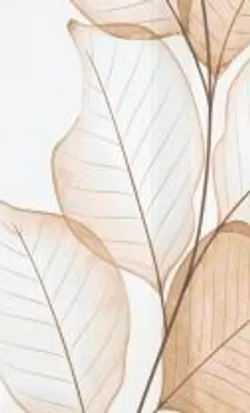 Natur material_farbe