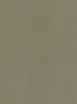 Taupe material_farbe