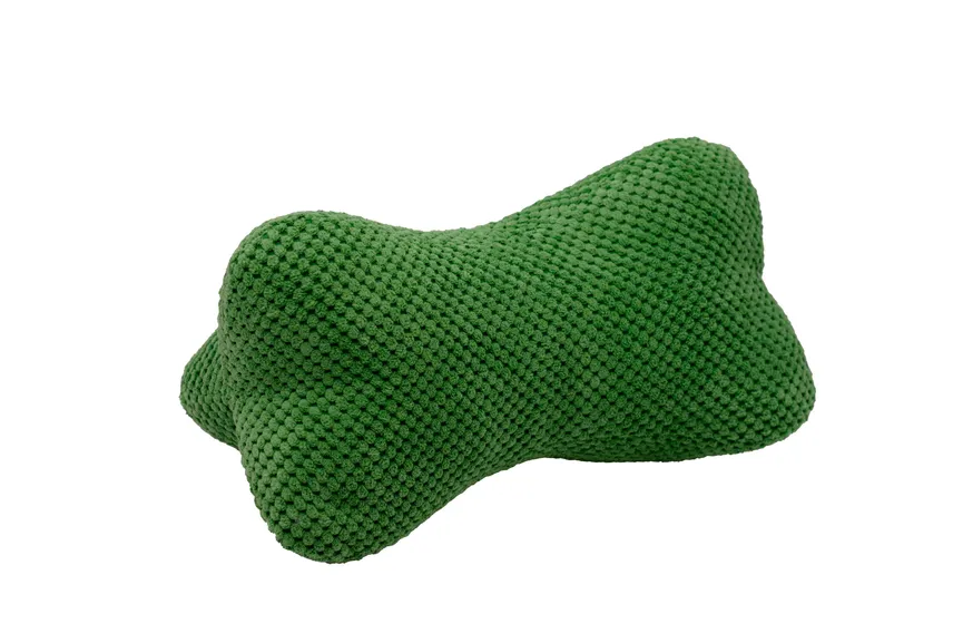 Leseknochen Life hauptaufnahme