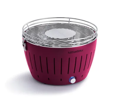 Holzkohlegrill