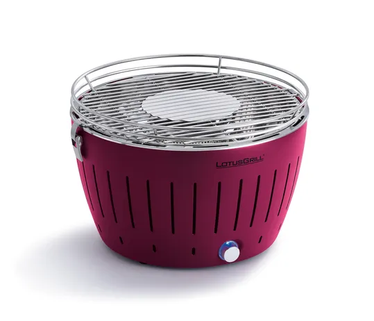 Holzkohlegrill