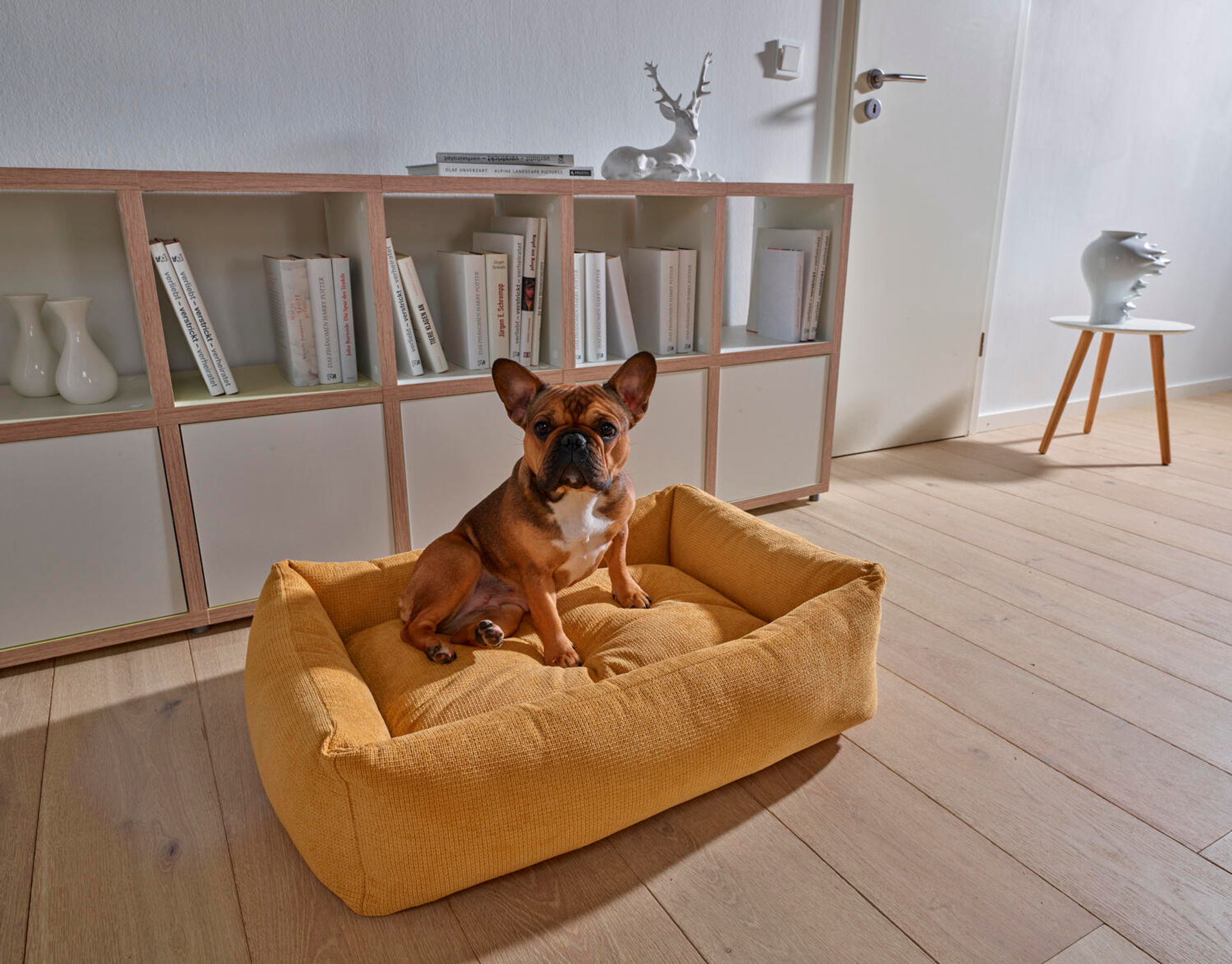 Hundebett