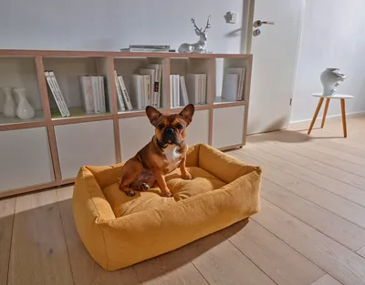 Hundebett
