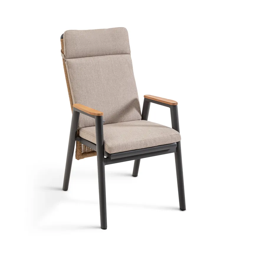 Dining Sessel detail