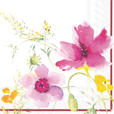 Serviette