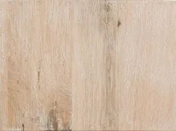 Eiche Weiß material_farbe