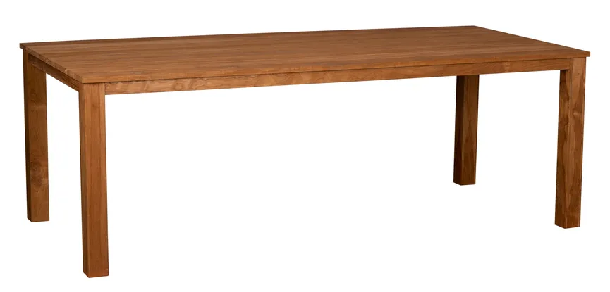Tisch 220x100 hauptaufnahme