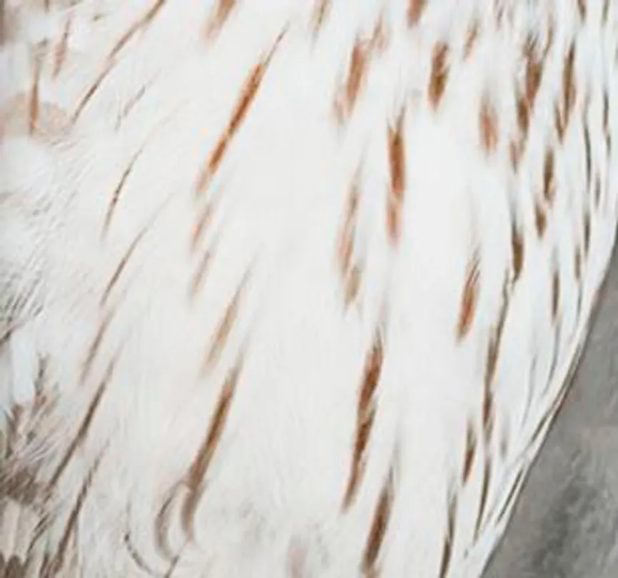 Kissen gef. 3700 material_farbe