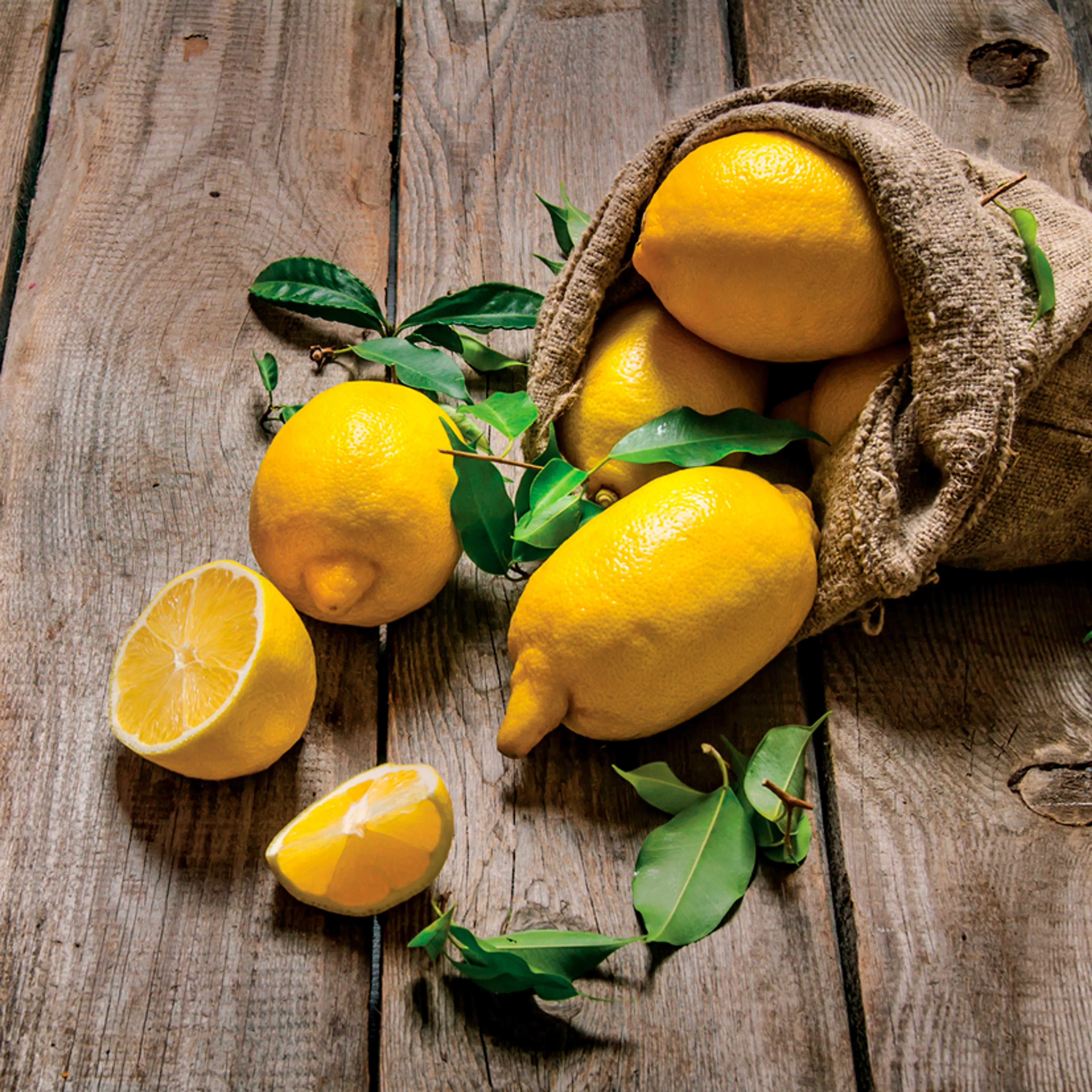 Wandbild 30 x 30 cm Fresh Lemon V 
