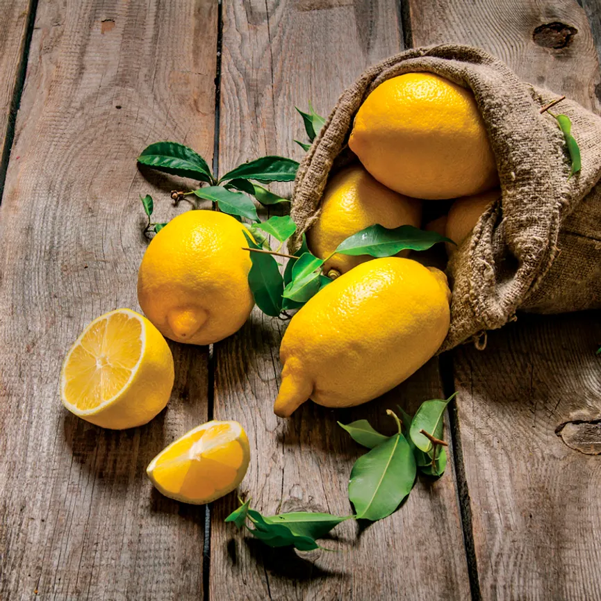 Küche - Fresh Lemon V hauptaufnahme