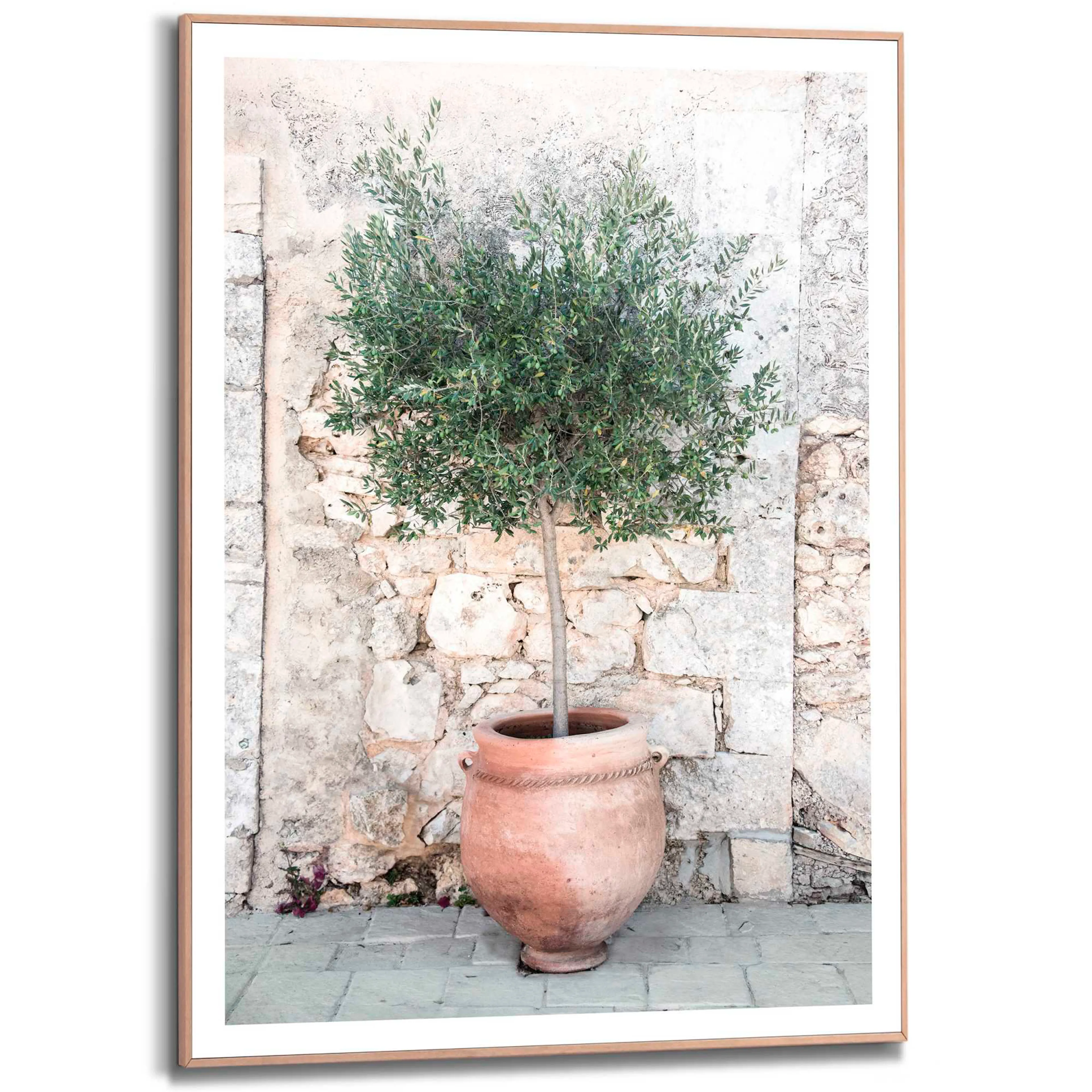 Wandbild 50 x 70 cm Olive Tree
