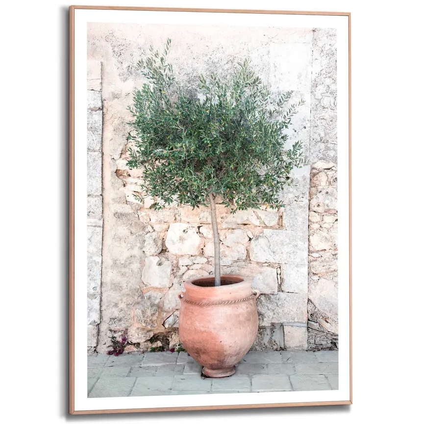 Bild gerahmt "Olive Tree" hauptaufnahme