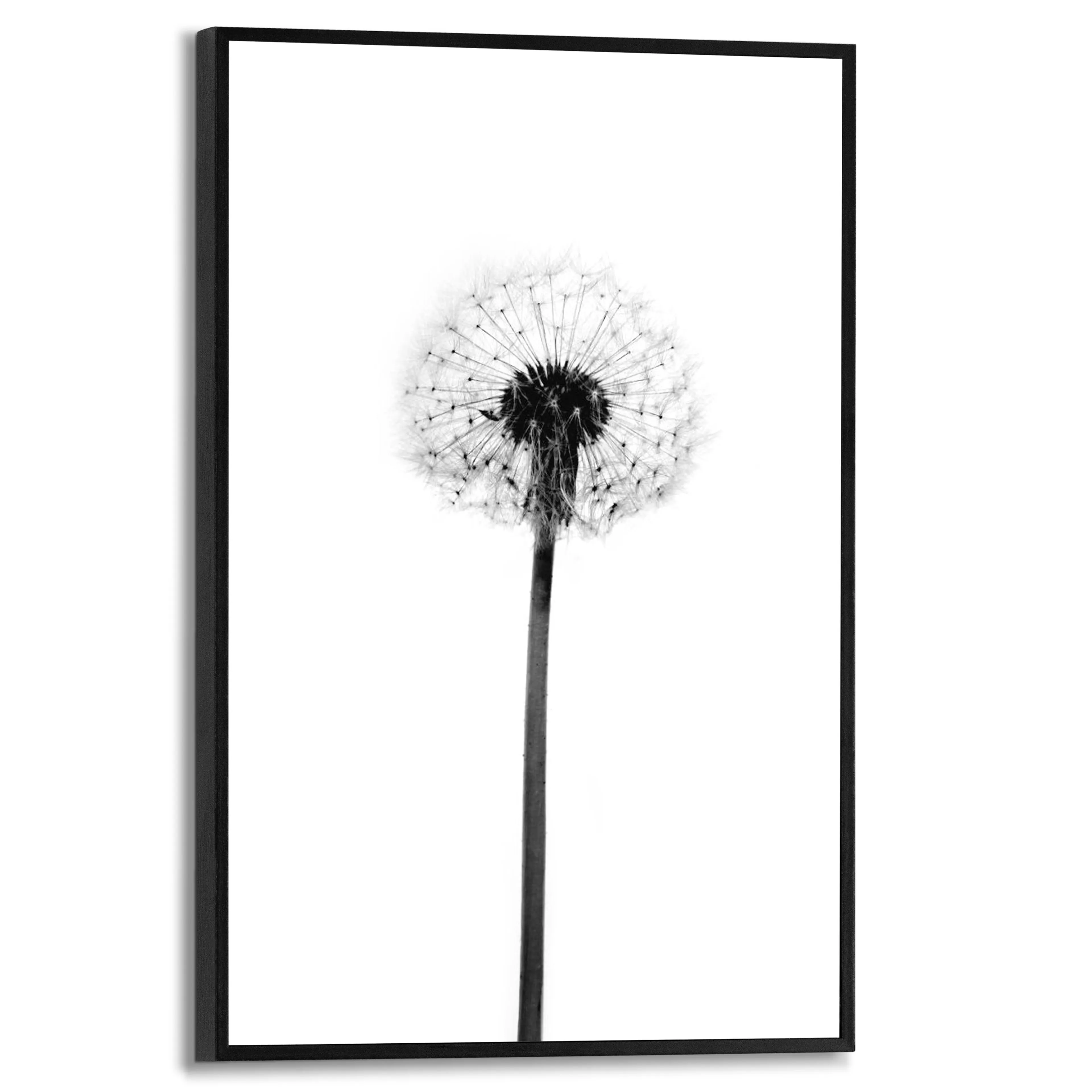 Wandbild 20 x 30 cm Dandelion 
