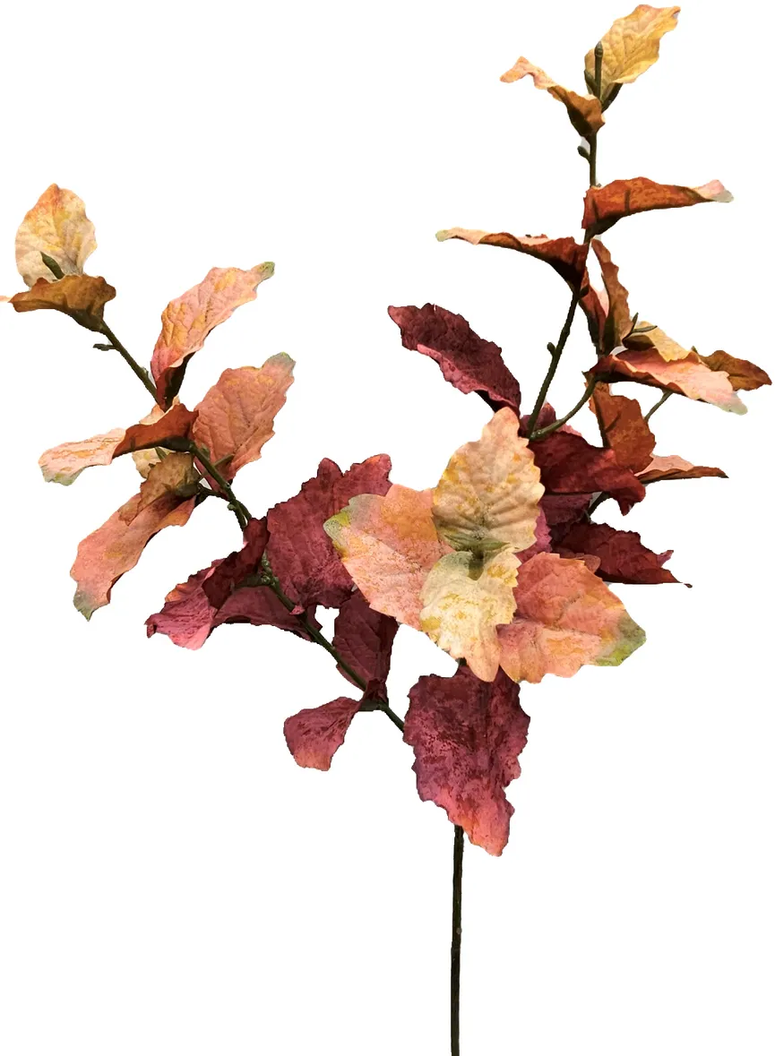 Buchenlaubzweig "Herbst" hauptaufnahme