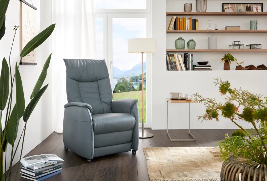 Sessel Basic 67L milieu