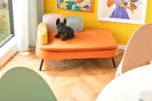 Hundesofa