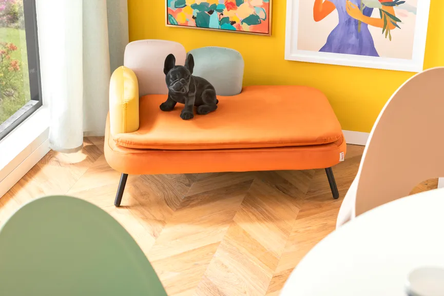 Hundebett Diva Orange milieu