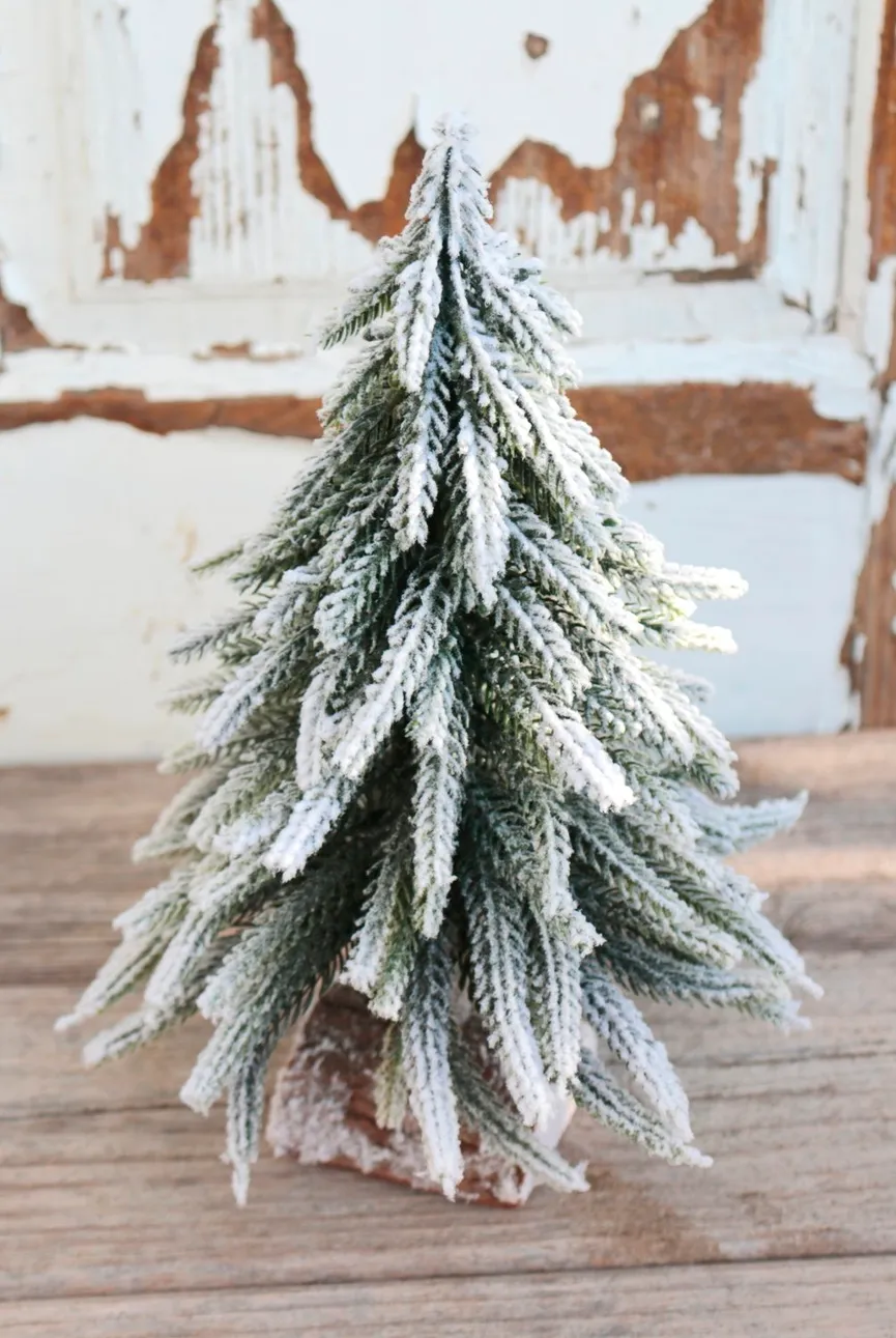 Tannebaum mit Schnee detail