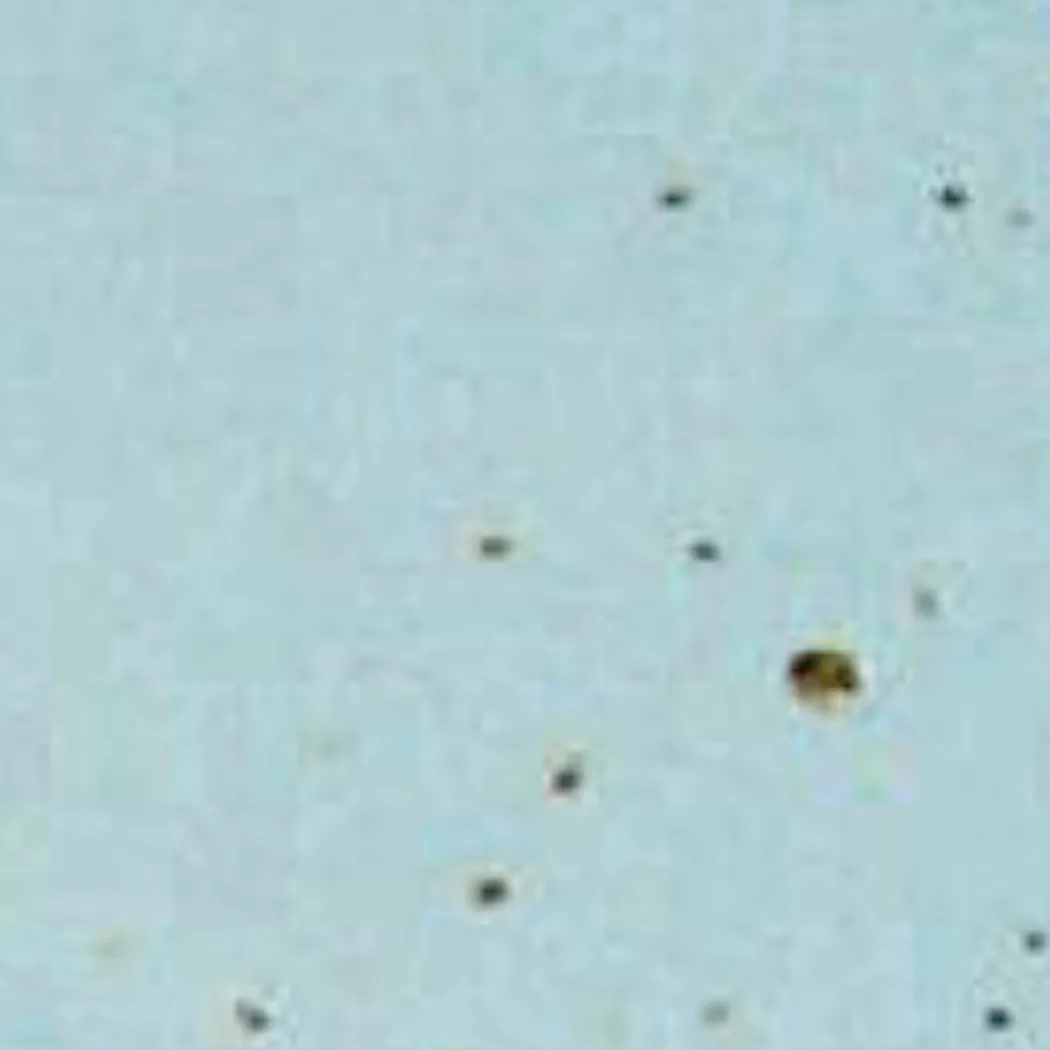 material_farbe