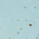material_farbe