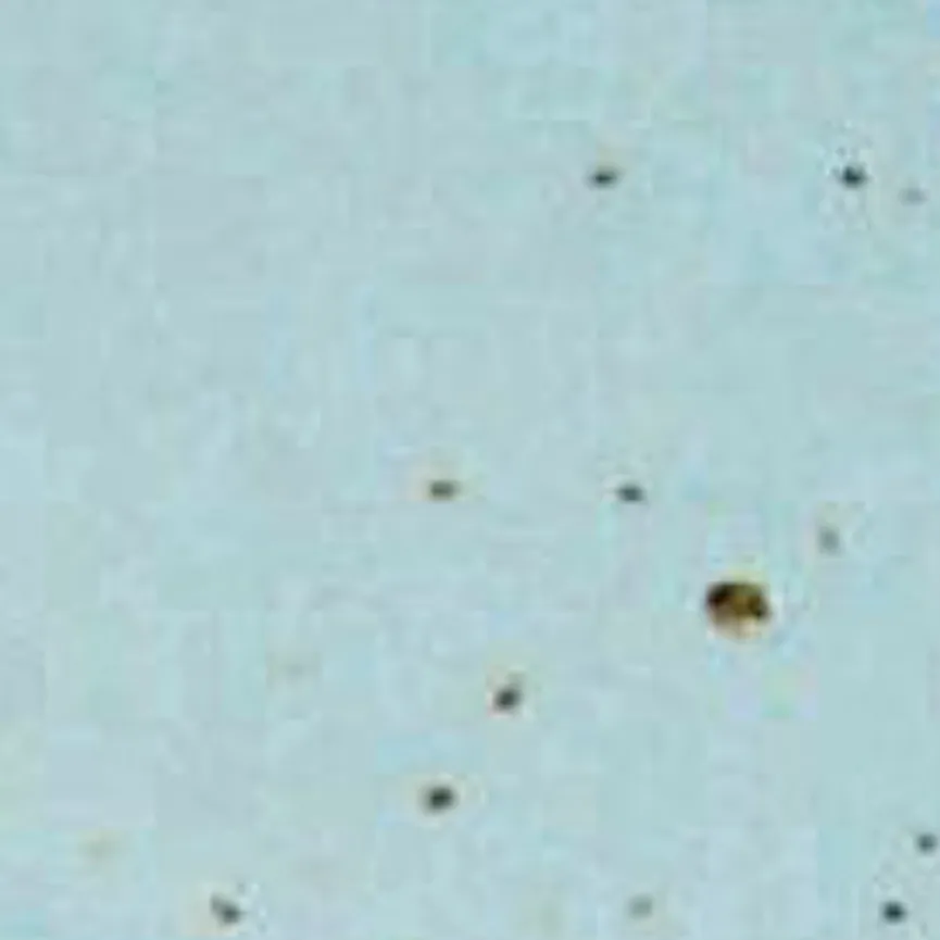 Kaffeeuntertasse material_farbe
