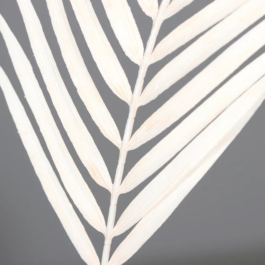 Farnzweig creme detail