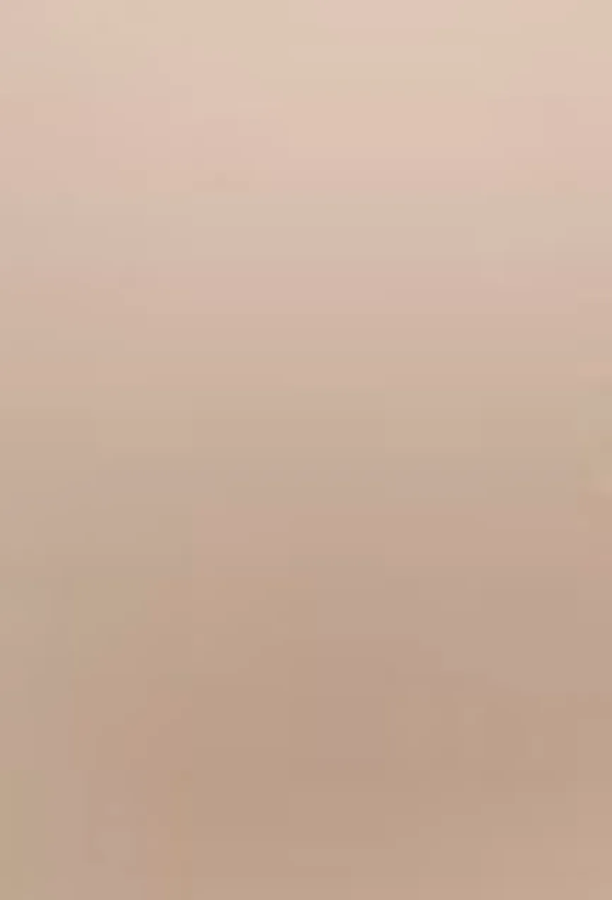 Drehstuhl EDU 5 Star material_farbe